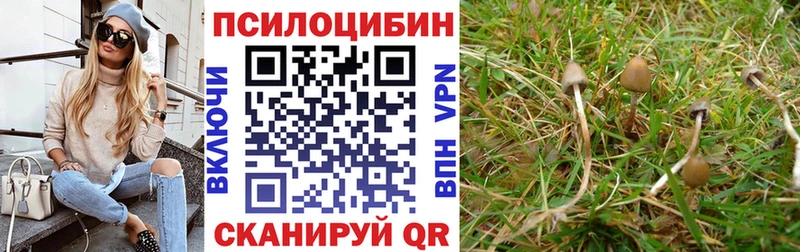 Галлюциногенные грибы ЛСД продажа наркотиков Вольск